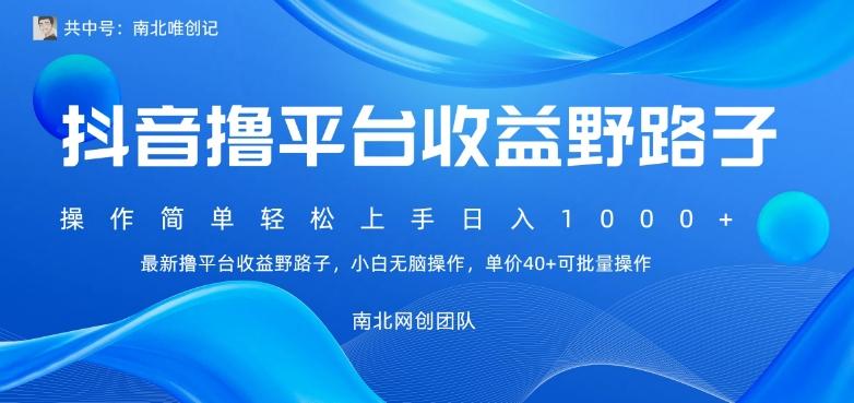 最新撸抖音平台收益野路子，操作简单，单价高，小白可无脑操作可日入1000+-小艾项目网