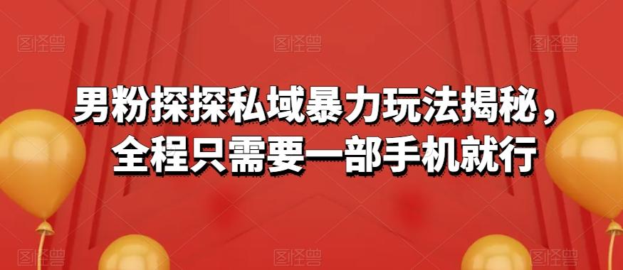 男粉探探私域暴力玩法揭秘，全程只需要一部手机就行-星火轻创