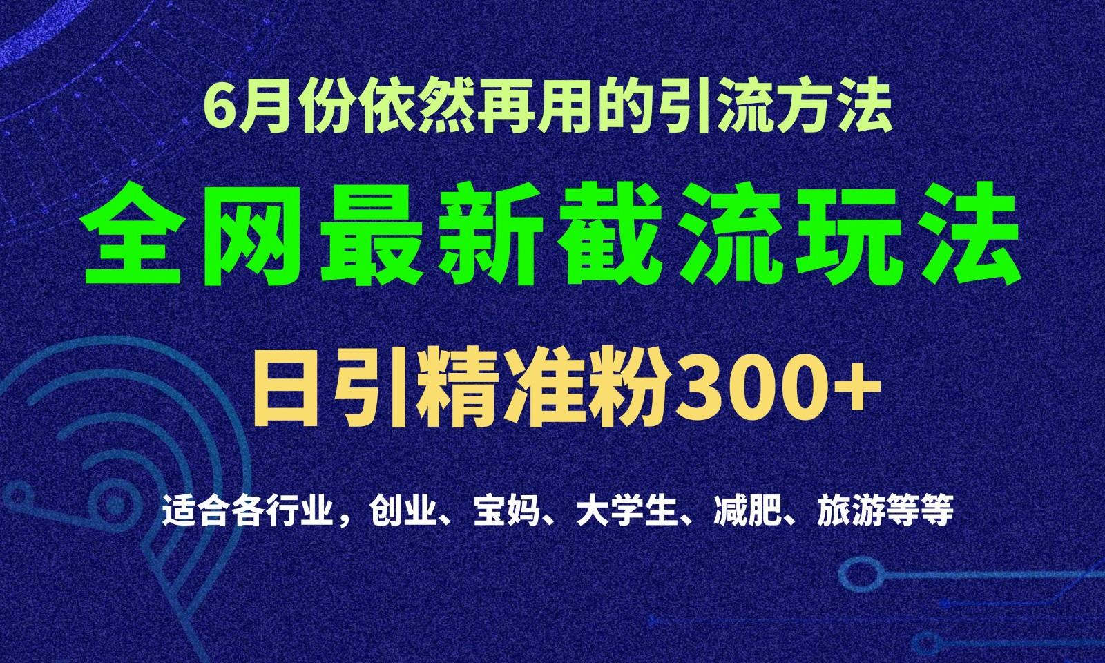 2024全网最新截留玩法，每日引流突破300+-星火轻创