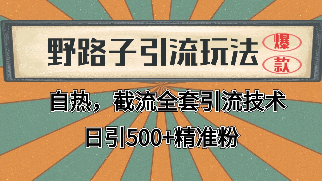 2024首发野路子引流玩法截流自热全平台打法，全自动引流【日引2000+精准客户】-星火轻创