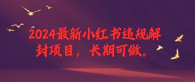 2024最新小红书违规解封项目，长期可做，一个可以做到退休的项目【揭秘】-星火轻创