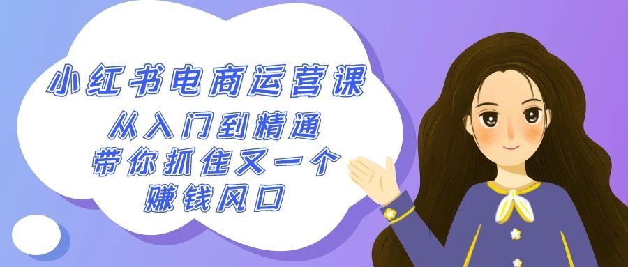 2024小红书-电商运营课，从入门到精通，带你抓住又一个赚钱风口(50节课)-星火轻创