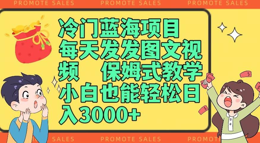 冷门蓝海项目，每天发发图文视频，保姆式教学，小白也能轻松日入3000+-星火轻创