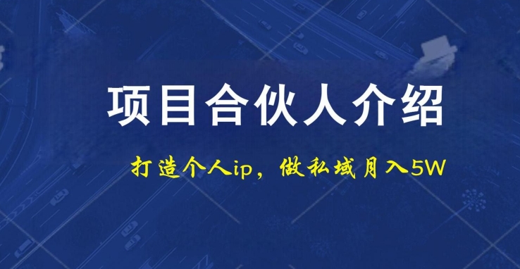 项目合伙人项目，打造个人IP，做私域月入5W，小白勿扰-星火轻创
