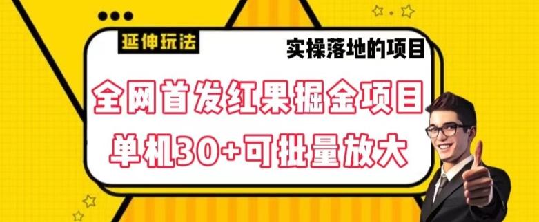 全网首发红果免费短剧掘金项目，单机30+可批量放大【揭秘】-星火轻创