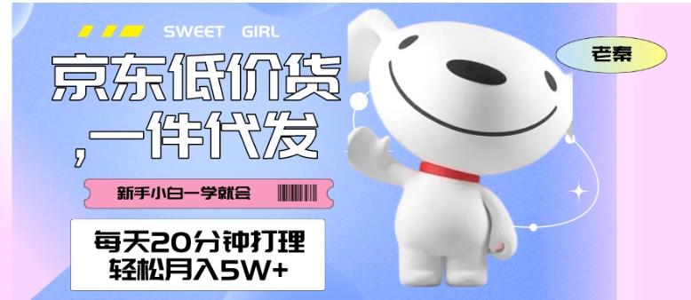 每天20分钟打理京东低价货，一件代发-轻松月入5W＋-星火轻创