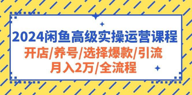 2024闲鱼高级实操运营课程：开店/养号/选择爆款/引流/月入2万/全流程-星火轻创