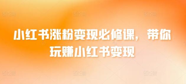小红书涨粉变现必修课，带你玩赚小红书变现-星火轻创