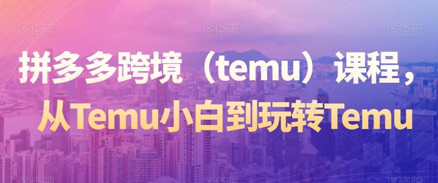 拼多多跨境（temu）课程，从Temu小白到玩转Temu-星火轻创