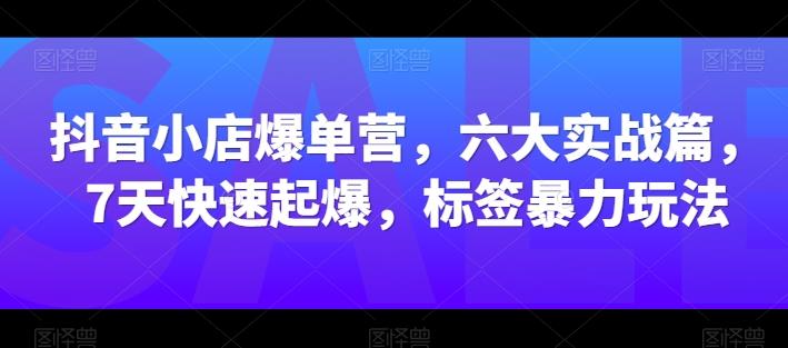抖音小店爆单营，六大实战篇，7天快速起爆，标签暴力玩法-星火轻创