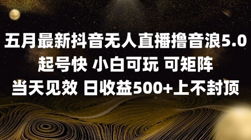 2025五月最新无人直播撸音浪单日产出5张+实操教程【揭秘】-星火轻创