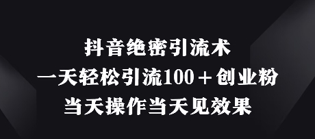 抖音绝密引流术，一天轻松引流100+创业粉，当天操作当天见效果-星火轻创