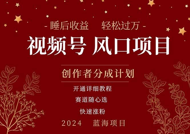 拥有睡眠收益的微信视频号大风口项目，轻松月入过万+，多赛道选择，可…-星火轻创