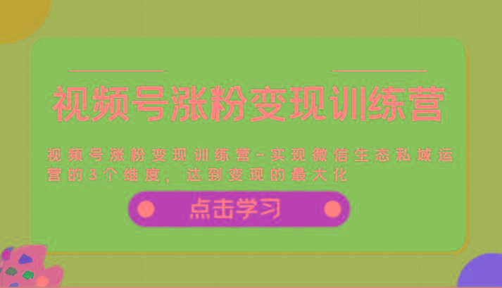 视频号涨粉变现训练营-实现微信生态私域运营的3个维度，达到变现的最大化-星火轻创