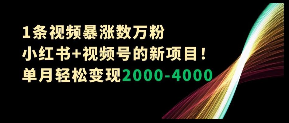 1条视频暴涨数万粉–小红书+视频号的新项目！单月轻松变现2000-4000【揭秘】-星火轻创