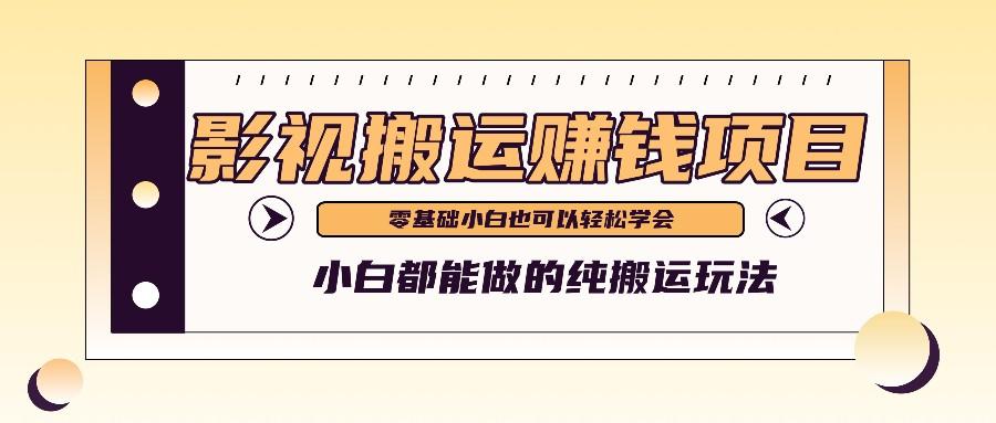 手把手教你操作影视搬运项目，小白都能做零基础也能赚钱-星火轻创