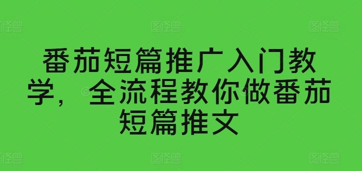 番茄短篇推广入门教学，全流程教你做番茄短篇推文-星火轻创
