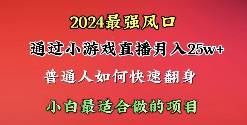 (10020期)2024年最强风口，通过小游戏直播月入25w+单日收益5000+小白最适合做的项目-星火轻创