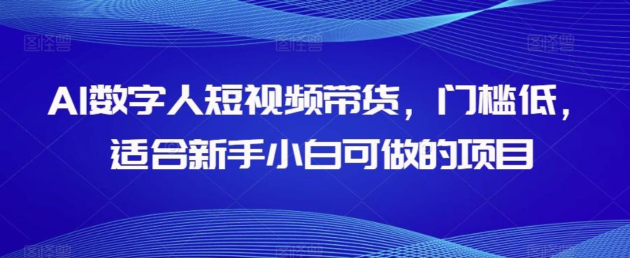 AI数字人短视频带货，门槛低，适合新手小白可做的项目-星火轻创