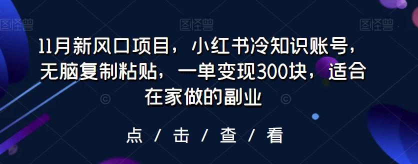 11月新风口项目，小红书冷知识账号，无脑复制粘贴，一单变现300块，适合在家做的副业-星火轻创