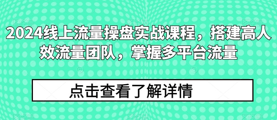 2024线上流量操盘实战课程，搭建高人效流量团队，掌握多平台流量-星火轻创