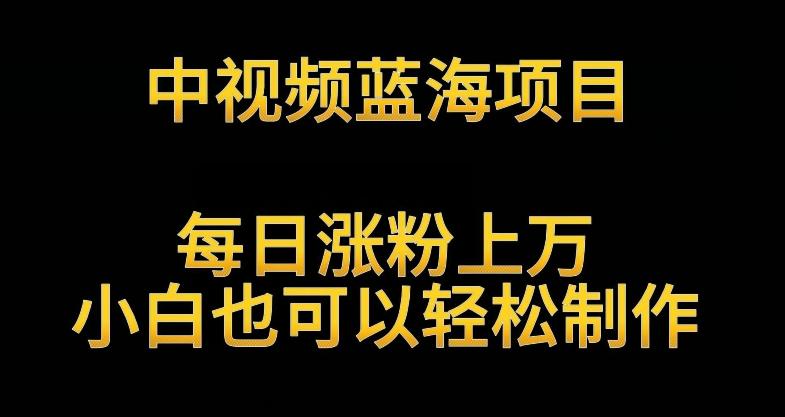 中视频蓝海项目，解读英雄人物生平，每日涨粉上万，小白也可以轻松制作，月入过万不是梦【揭秘】-星火轻创