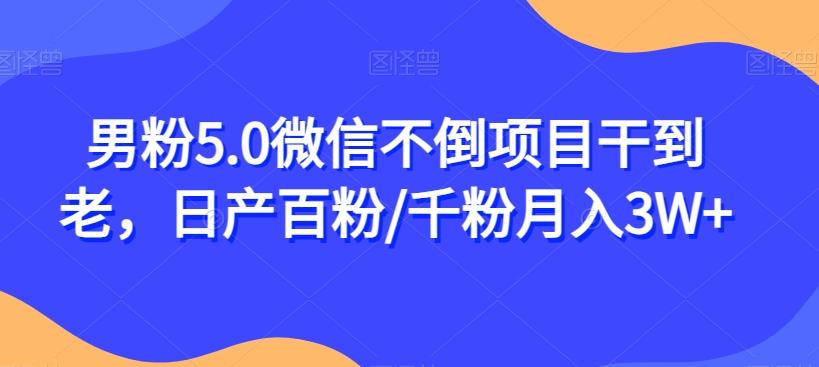 男粉5.0微信不倒项目干到老，日产百粉/千粉月入3W+【揭秘】-星火轻创