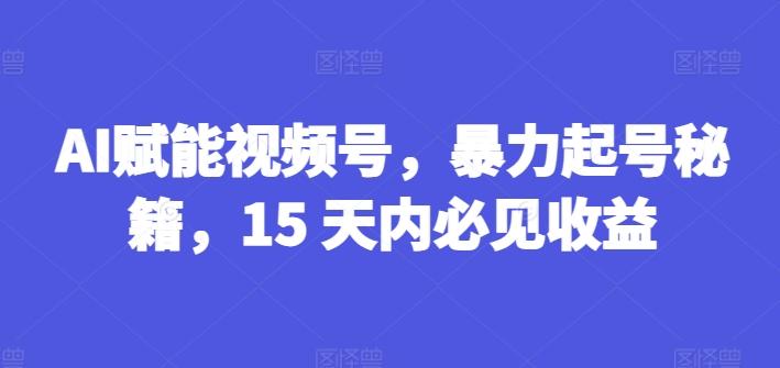 AI赋能视频号，暴力起号秘籍，15 天内必见收益【揭秘】-星火轻创