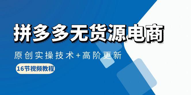 (10015期)拼多多无货源电商，原创实操技术+高阶更新(16节视频教程)-星火轻创