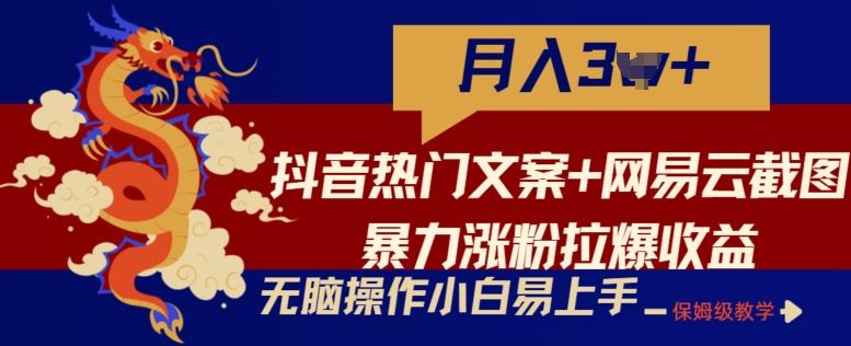 抖音热门文案+网易云截图暴力涨粉拉爆收益玩法，小白无脑操作，简单易上手【揭秘】-星火轻创