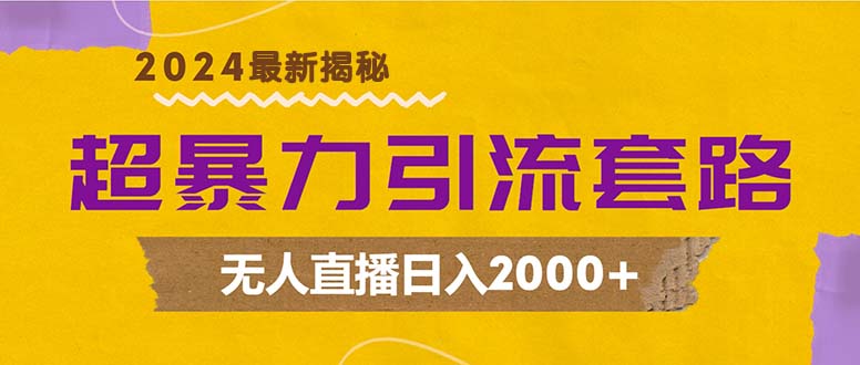 超暴力引流套路，无人直播日入2000+-星火轻创