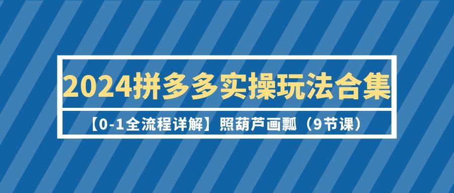 (9559期)2024拼多多实操玩法合集【0-1全流程详解】照葫芦画瓢(9节课)-星火轻创