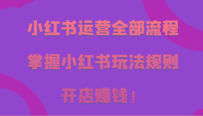 小红书运营全部流程，掌握小红书玩法规则，开店赚钱！-星火轻创