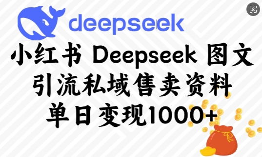 小红书Deepseek图文引流私域售卖资料，单日变现多张-星火轻创