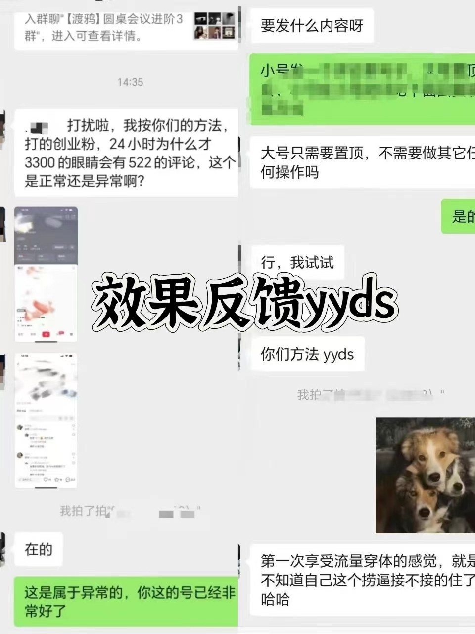 图片[3]-抖音小红书视频号全平台引流打法，全自动引流日引2000+精准客户-星火轻创