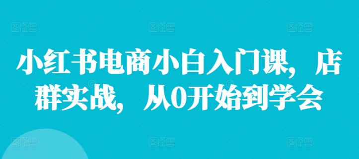 小红书电商小白入门课，店群实战，从0开始到学会-星火轻创