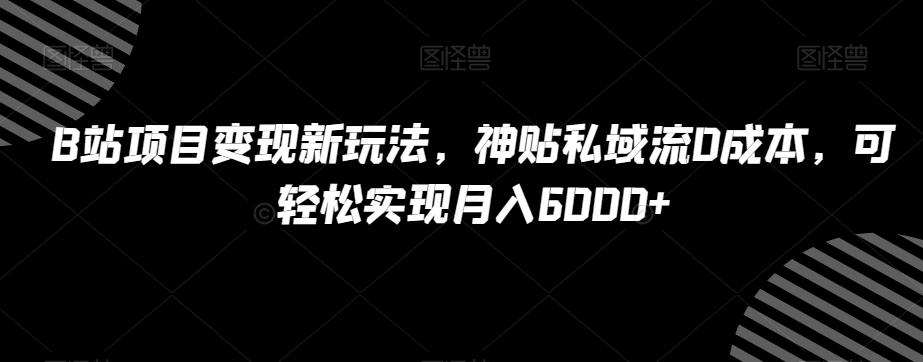 B站项目变现新玩法,神贴私域流0成本,可轻松实现月入6000+【揭秘】