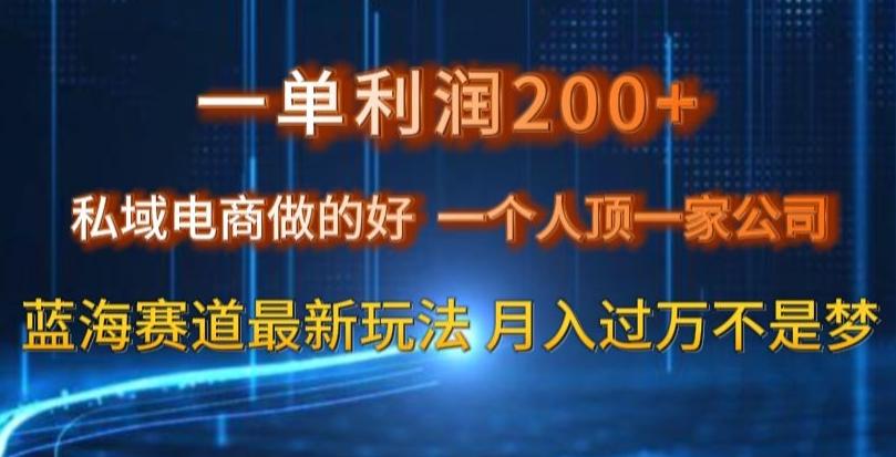 一单利润200私域电商做的好，一个人顶一家公司蓝海赛道最新玩法【揭秘】-星火轻创