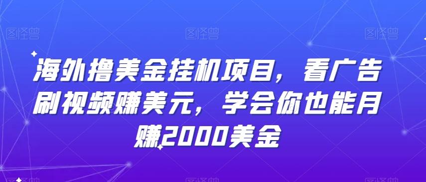 海外撸美金挂机项目，看广告刷视频赚美元，学会你也能月赚2000美金-星火轻创