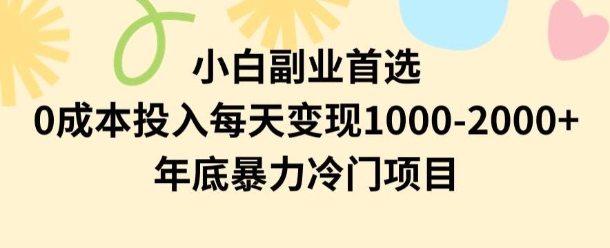 小白副业首选，0成本投入，每天变现1000-2000年底暴力冷门项目【揭秘】-星火轻创
