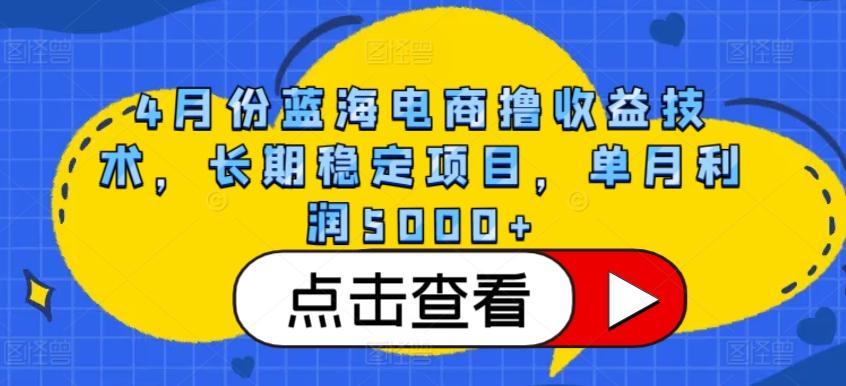 4月份蓝海电商撸收益技术，长期稳定项目，单月利润5000+【揭秘】-星火轻创