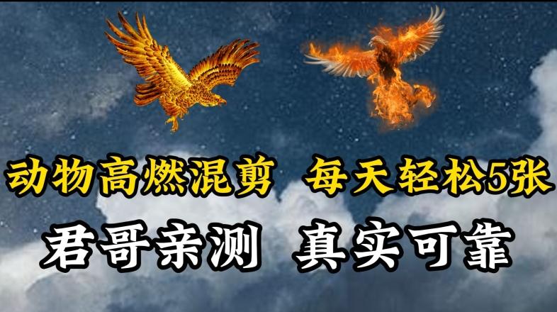 动物超燃混剪，每天轻松5张，剪辑简单大家爱看【揭秘】-星火轻创
