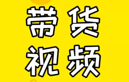 芒果老师·教你做抖音短视频和直播带货-星火轻创