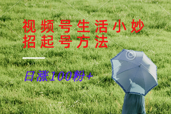 视频号生活小妙招分享赛道， 起号涨粉新方法，日涨100粉-星火轻创