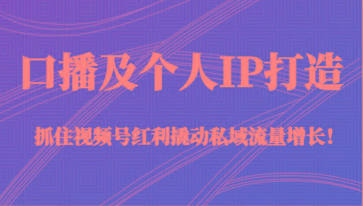 口播及个人IP打造，抓住视频号红利撬动私域流量增长！（45节课）-星火轻创
