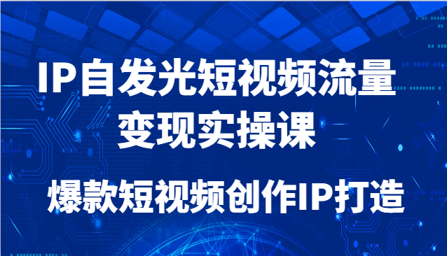 IP自发光短视频流量变现实操课,爆款短视频创作IP打造-星火轻创