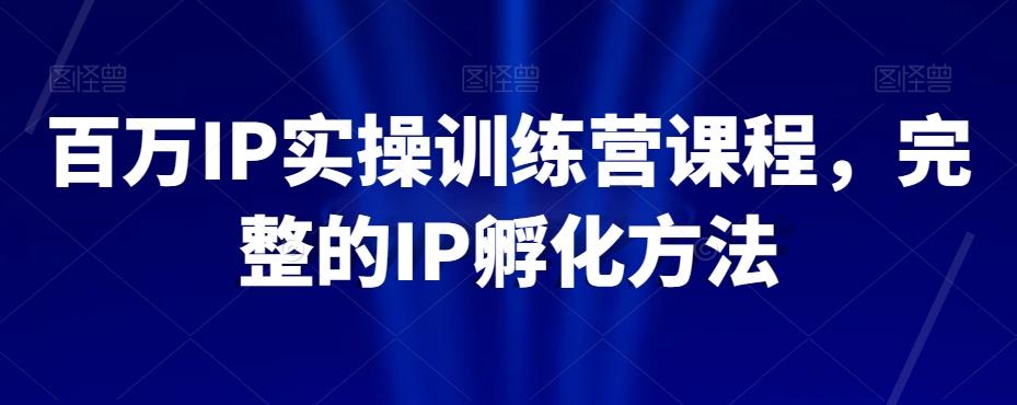 百万IP实操训练营课程，完整的IP孵化方法-星火轻创
