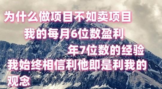 做项目不如卖项目，每月6位数盈利，年7位数经验-星火轻创