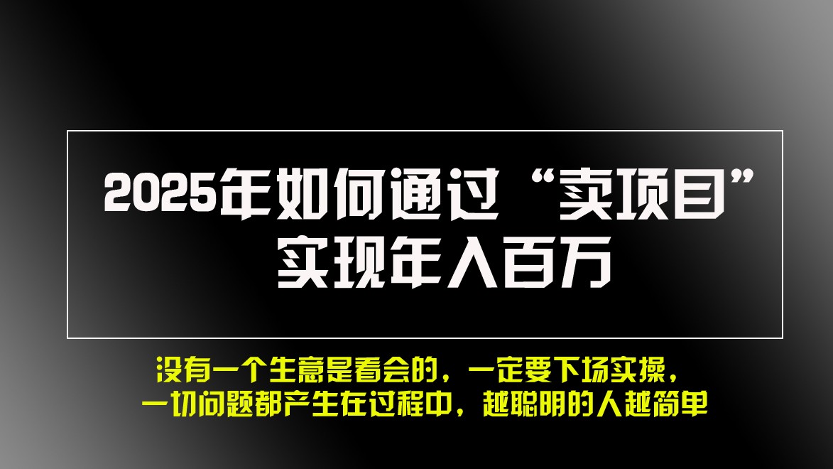 2025年如何通过“卖项目”实现年入百万-星火轻创