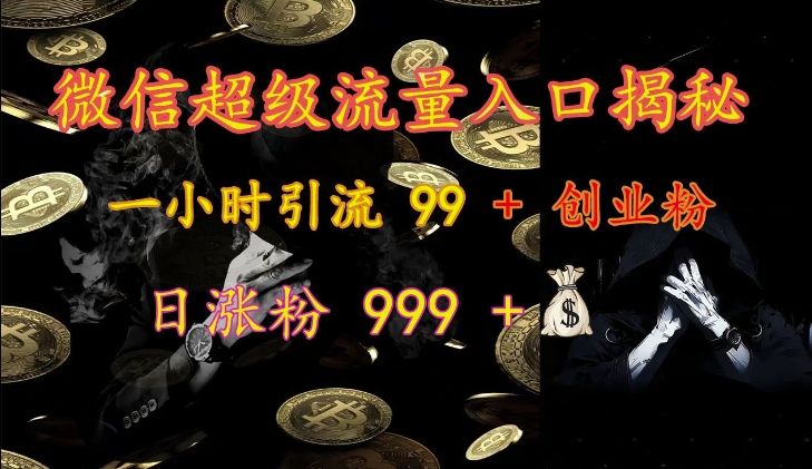 微信超级流量入口揭秘：一小时引流 99 + 创业粉，日涨粉 999 +-星火轻创